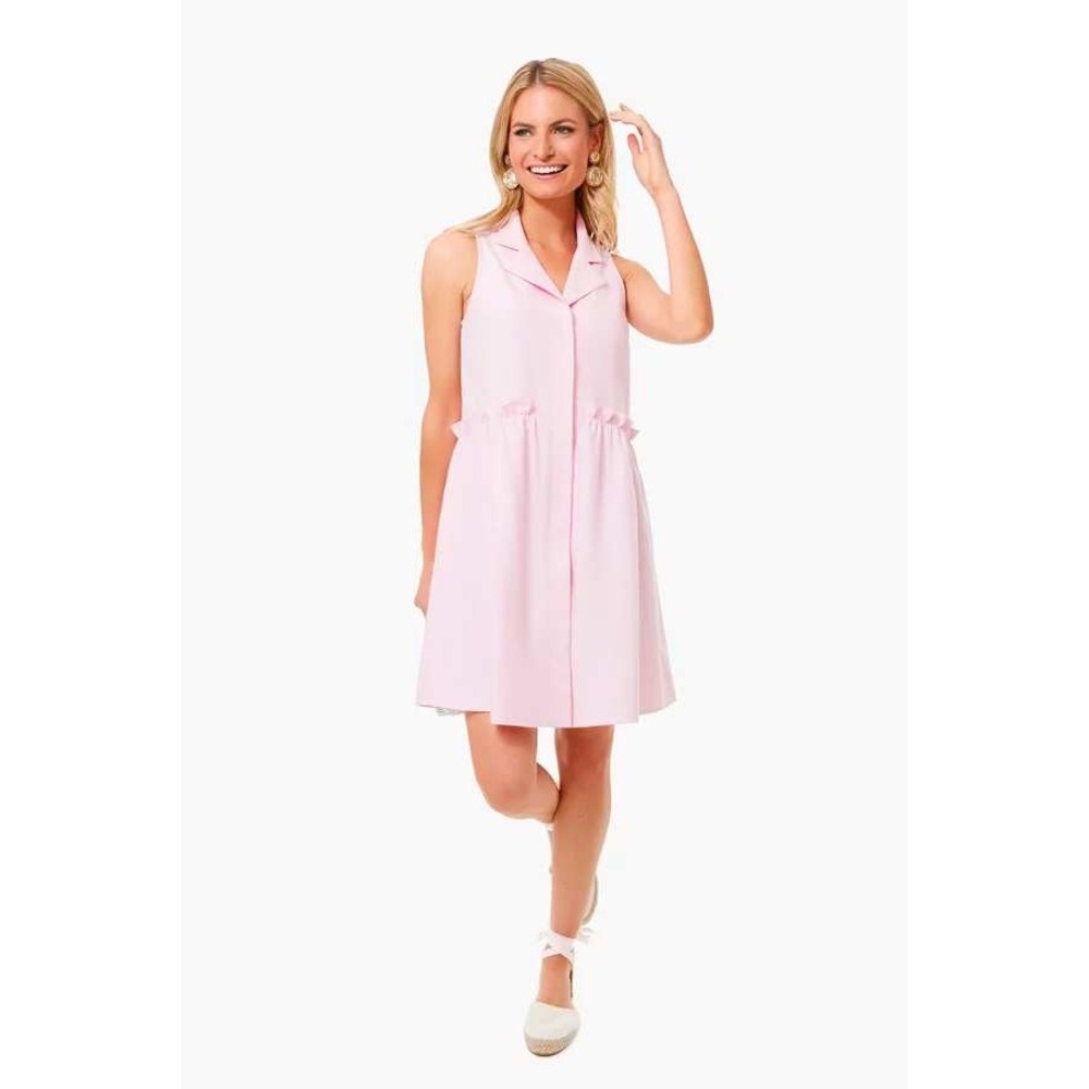 Tuckernuck Oxford Sleeveless Royal Shirt Dress Pink XL Ruffle Drop Waist New